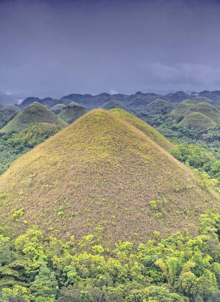 Choklad Hills Geologiska Formation Rullande Terräng Hoycock Kullar Koniska Formade — Stockfoto