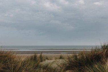 dramatic shot of sandy seashore on cloudy day, Bray Dunes, France clipart