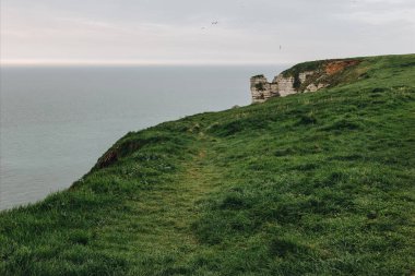 green meadow on cliff over sea at Etretat, France clipart