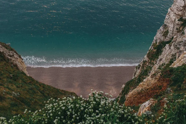 Hochwinkeliger Blick Auf Schönen Strand Mit Blumen Auf Klippe Vordergrund — Stockfoto
