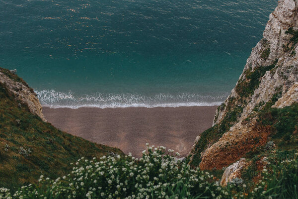  high angle view of beautiful beach with flowers on cliff on foreground, Etretat, France