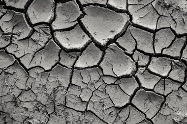 top view of cracked black dry ground, natural background clipart