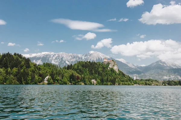 雪に覆われた山々 緑豊かな植生と穏やかな湖と美しい風景のブレッド スロベニア — ストック写真