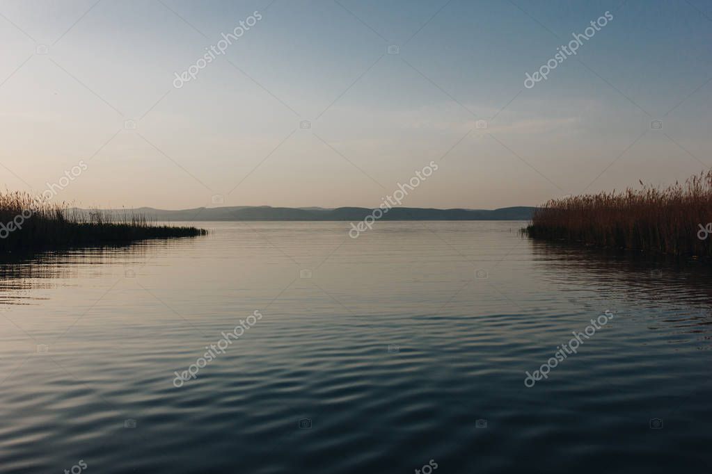 IraGirichBO