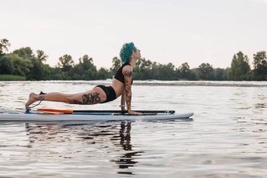 tattooed woman with blue hair practicing yoga on paddleboard in water. Upward facing dog pose (Urdhva Mukha Svanasana) clipart