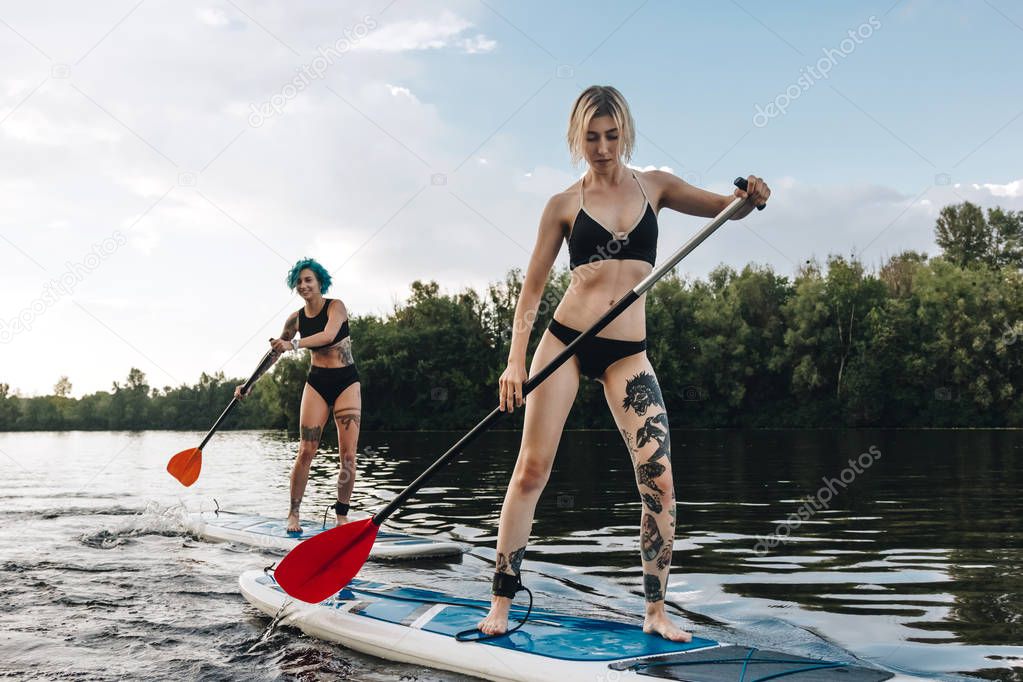 paddleboards