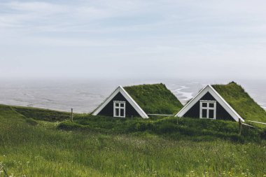 landscape with Black farmhouses in Skaftafell National Park in Iceland clipart