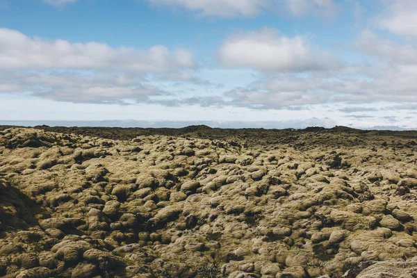Islandia musgo — Foto de stock gratis