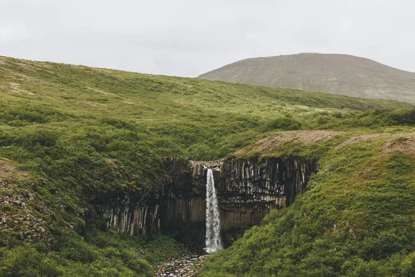 Vista Distante Svartifoss Queda Preta Cachoeira Islândia — Fotografia de Stock