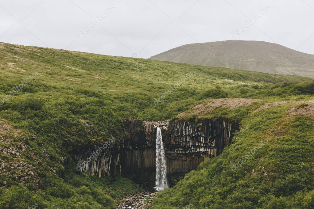 distant view of Svartifoss (Black fall) waterfall in Iceland 