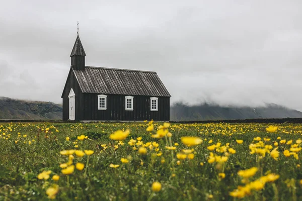 Grasland — Stockfoto