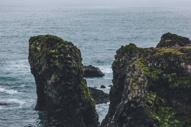 yosunlu kayalıklarla önünde mavi okyanusta bulutlu gün Arnarstapi, İzlanda
