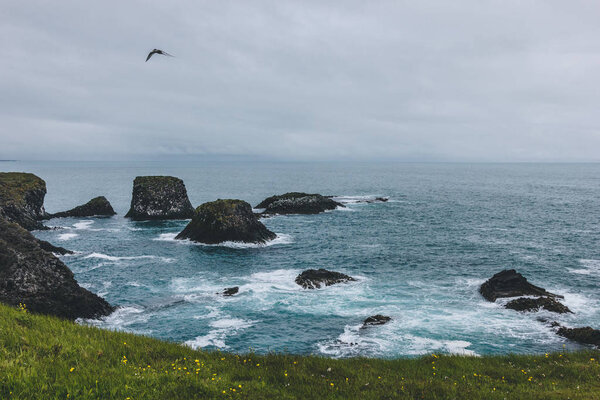 dramatic shot of rocks in blue ocean in Arnarstapi, Iceland with green meadow on background