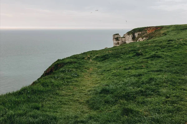 Grüne Wiese auf Klippe über dem Meer bei etretat, Frankreich — Stockfoto