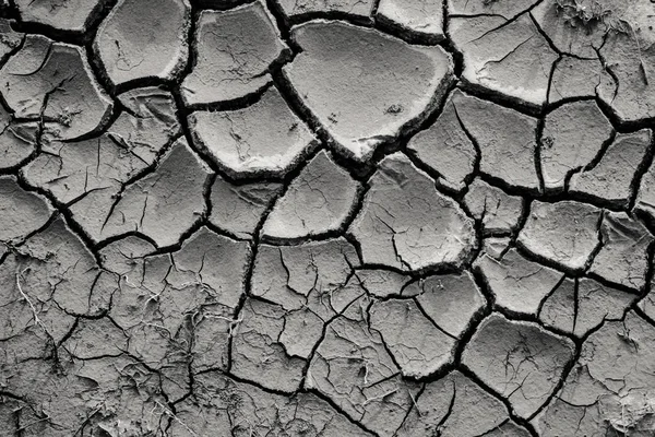 Top view of cracked black dry ground, natural background — Stock Photo