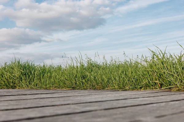 Surface level of wooden walkway and green grass at cloudy day — Stock Photo