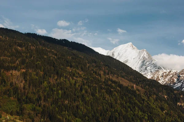 Bella vegetazione verde e cime innevate in montagne panoramiche, mont blanc, alpi — Foto stock