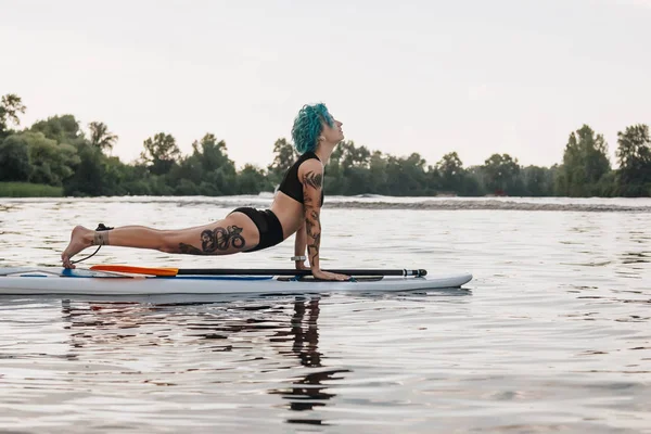 Mulher tatuada com cabelo azul praticando ioga em paddleboard na água. pose de cão virada para cima (Urdhva Mukha Svanasana ) — Fotografia de Stock