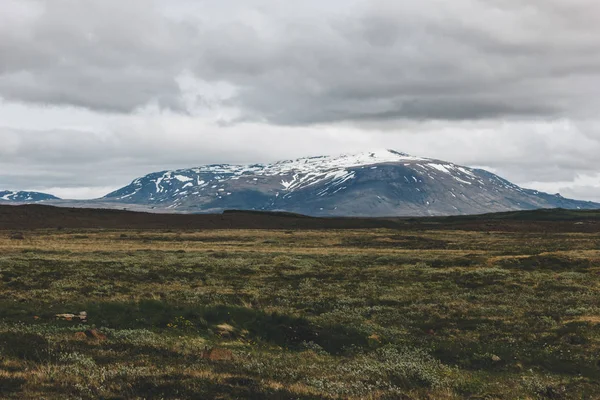 Ісландська — стокове фото