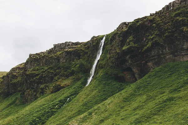 Nature — Stock Photo