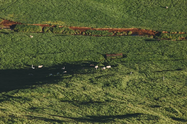 Aerial — Stock Photo