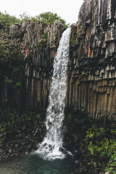 Schön — Stockfoto