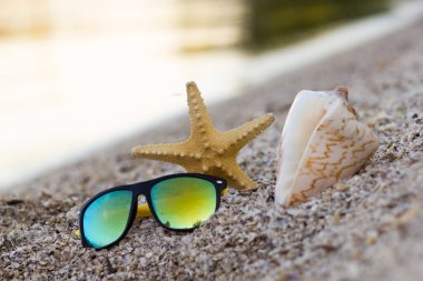 Yaz deniz kıyısı, güneş gözlüğü, kabuk ve kum plajındaki denizyıldızı