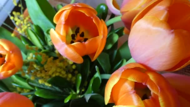 Tulipani Vicino Arancione — Video Stock