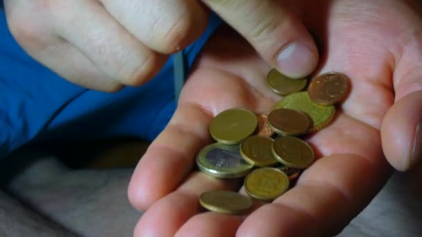 Monnaie Européenne Dans Paume Homme Compte Centime — Video