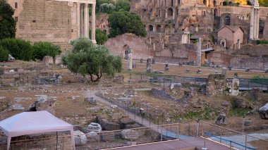 Antik Roma. Kazı. kare venedik