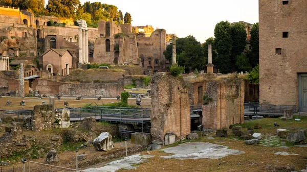 Gamle Roma Utgraving Kvadratiske Vener – stockfoto