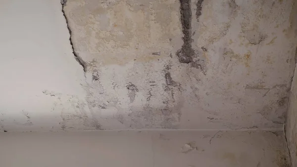 Daire tamiri, boru çekim Isıtma. Komşular sular altında