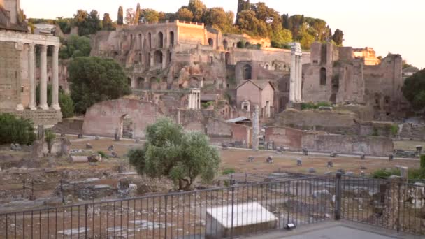 Ancient Rome Excavation Square Venice — Stock Video