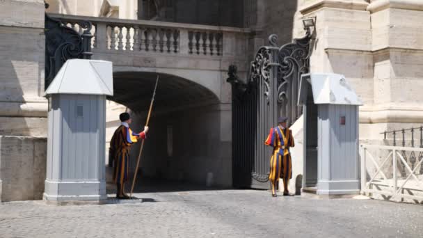 Ασφάλεια Αντίγραφα Προστατεύουν Την Είσοδο Του Κάστρου Φύλαξη Του Κάστρου — Αρχείο Βίντεο