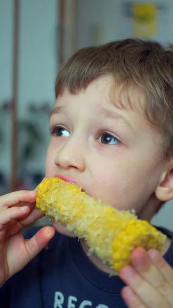 Little Boy Bite Corn Child Eating Sweet Corn Cob Watching — Stock Photo, Image