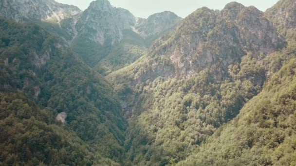 Przesuwając się do lasu sosnowego i doliny górskiej z rozbłyskiem słońca w letni dzień.Europa Włochy odkryty zielony krajobraz przyroda góry dzikie powietrze zakładania.4k lot drona ustanowienie strzał — Wideo stockowe