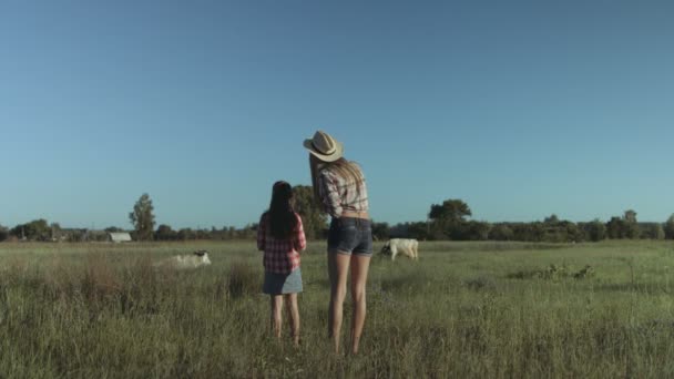 Familia feliz relajándose en la naturaleza en el campo — Vídeos de Stock