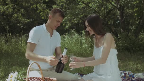 Paar champagne binnenstromen bril op picknick — Stockvideo