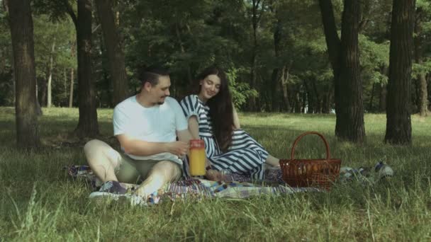 Hombre sonriente vertiendo jugo en vasos en el picnic — Vídeo de stock