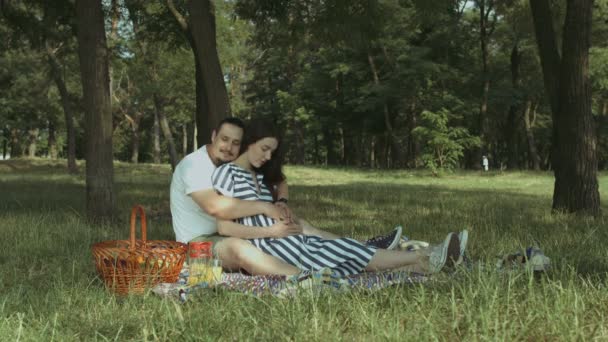 英俊的男子抚摸他怀孕的妻子的腹部 — 图库视频影像