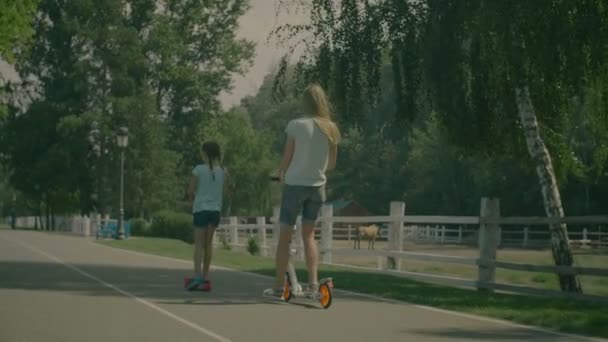 Мать с ребенком катается на скутерах в летнем парке — стоковое видео