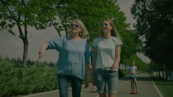 Родина мультиплеєрів, що ходить по літньому парку — стокове відео