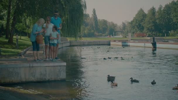 Mehrgenerationenfamilie füttert Enten im Park — Stockvideo