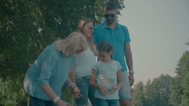 Patos de alimentação familiar de três gerações no parque de verão — Vídeo de Stock