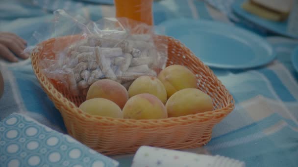 Les mains humaines prennent les pêches du panier à l'extérieur — Video