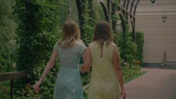 Досить жіночі найкращі друзі зустрічаються в літньому парку — стокове відео