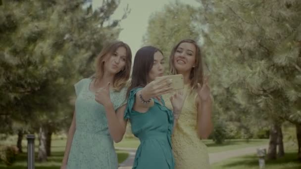 Copines ludiques prenant des photos sur le téléphone portable dans le parc — Video