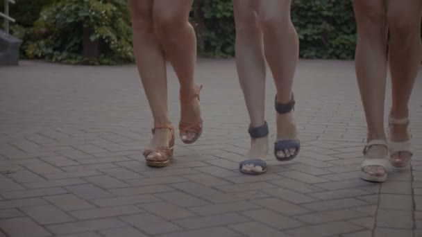 Elegantes pernas femininas descendo a rua — Vídeo de Stock