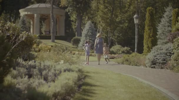 Famille heureuse jouissant de loisirs dans un lieu de voyage — Video