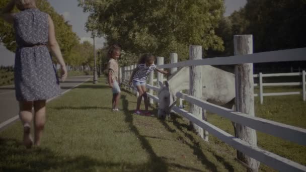 Dwa śliczne małe siostry pieszczoty konia w parku — Wideo stockowe